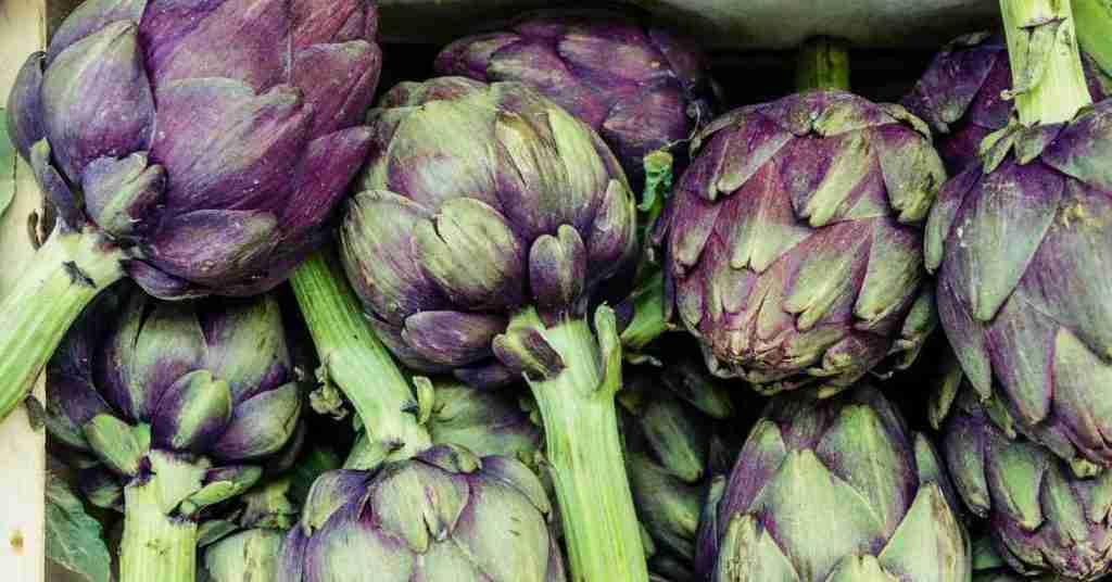 Globe artichokes - a perennial vegetable. Image: unsplash.com.